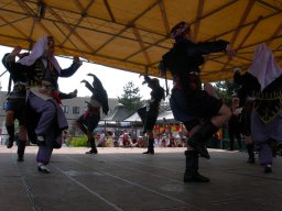 Milano 2008